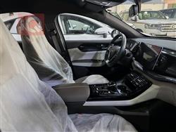 بي واي دي Qin Plus